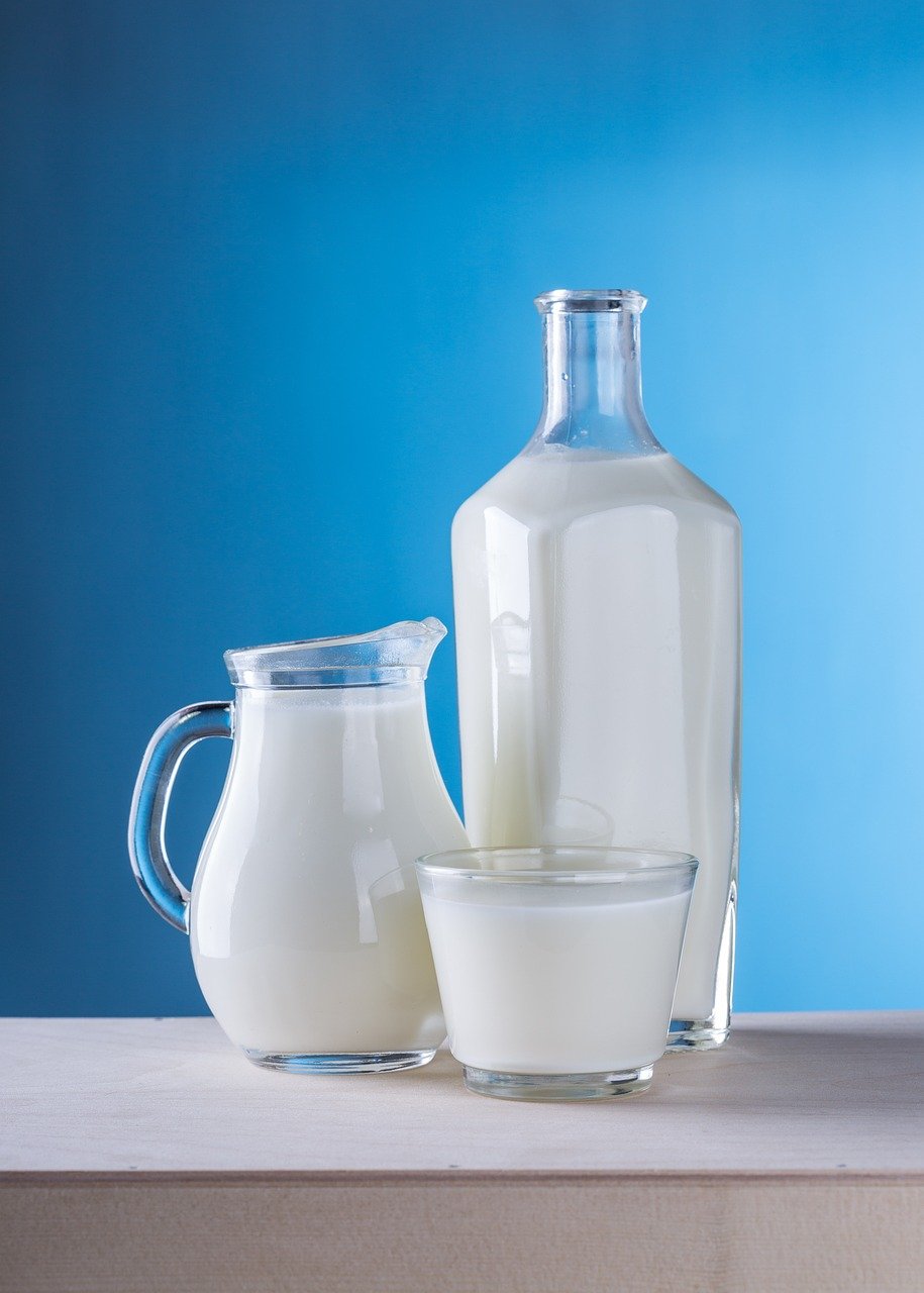 productos lácteos - alimentos saludables