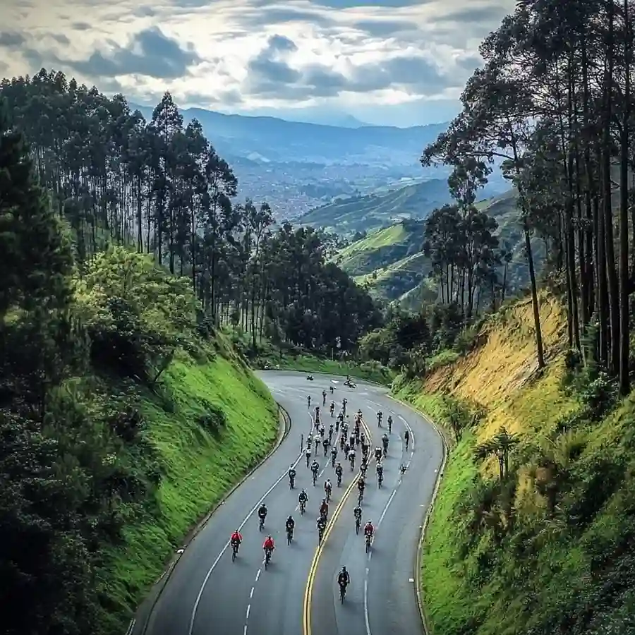 la calera bicicletas